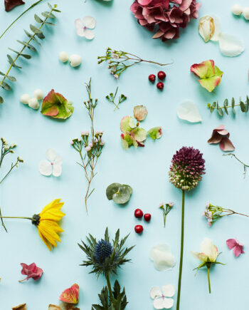 Blue Flower Af Camilla Schmidt