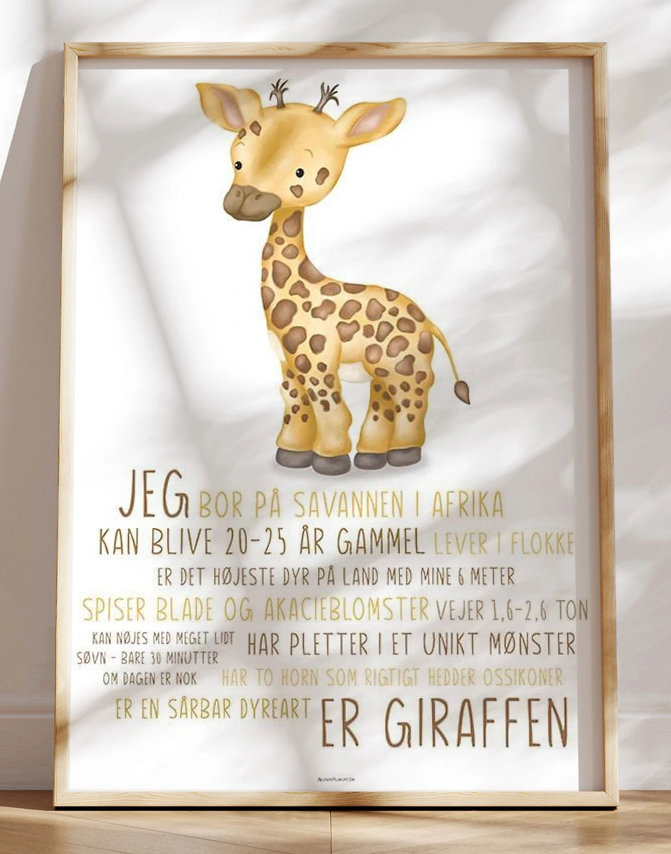 Børneplakat Med Giraf Lær Om Giraffen