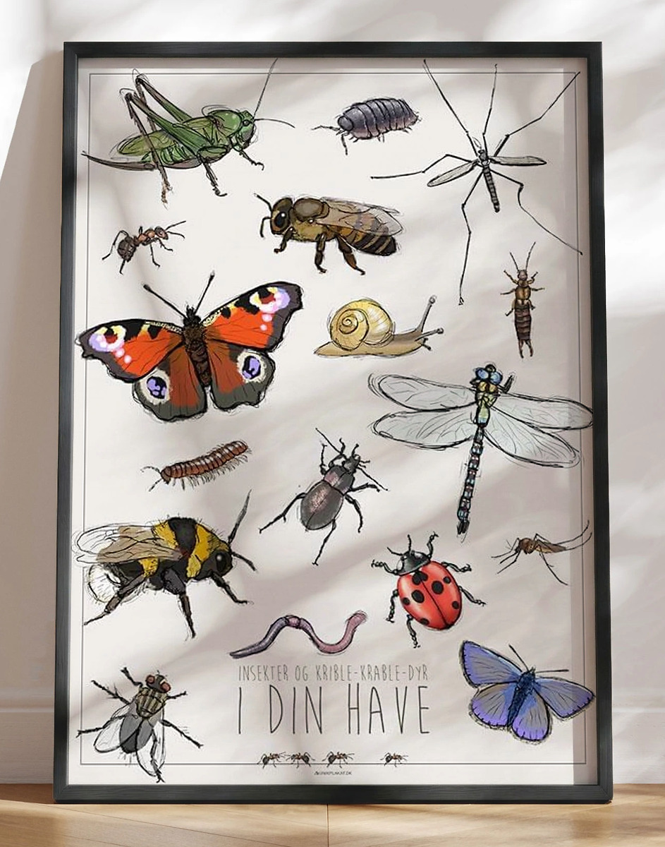 Børneplakat Med Insekter Og Smådyr   Haven