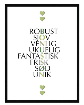 Bonussøn Citat Plakat