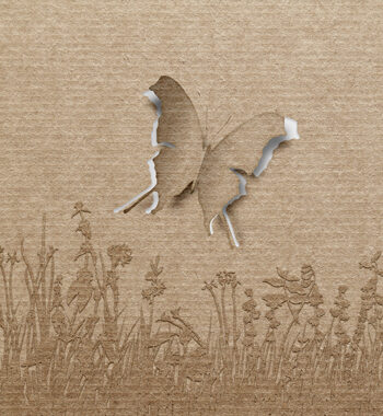 Butterfly Af Jakub Stodulski