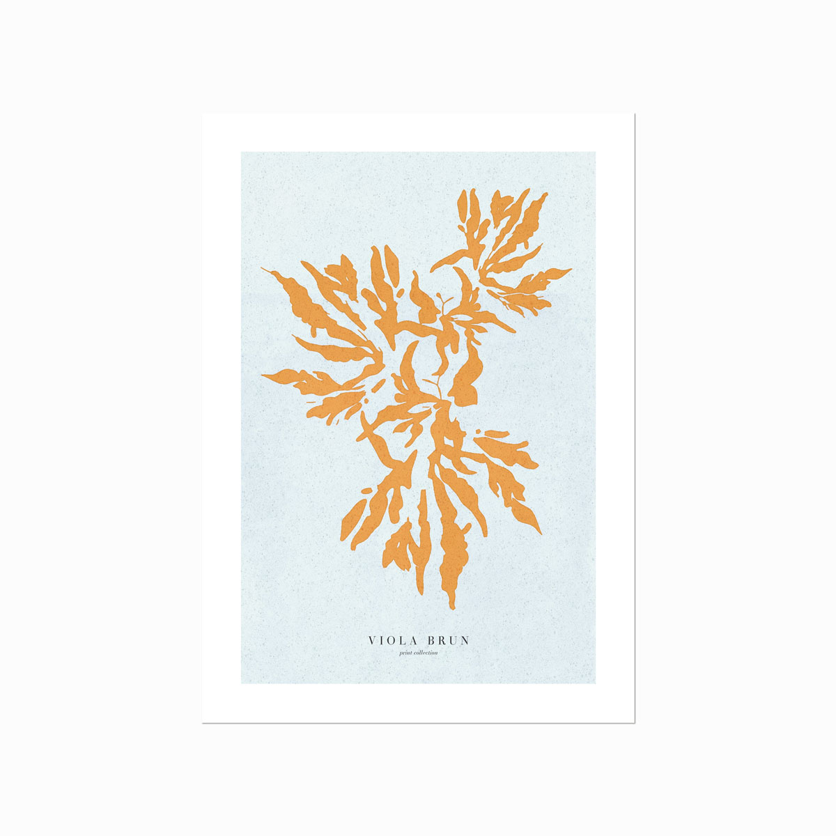 Corals  Burnt Sienna
