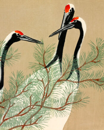 Cranes From Momoyogusa Af Plakatwerket
