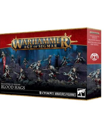 Daughters Of Khaine Blood Hags 99120212045