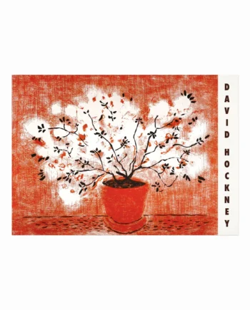 David Hockney Plakat  Red Etching