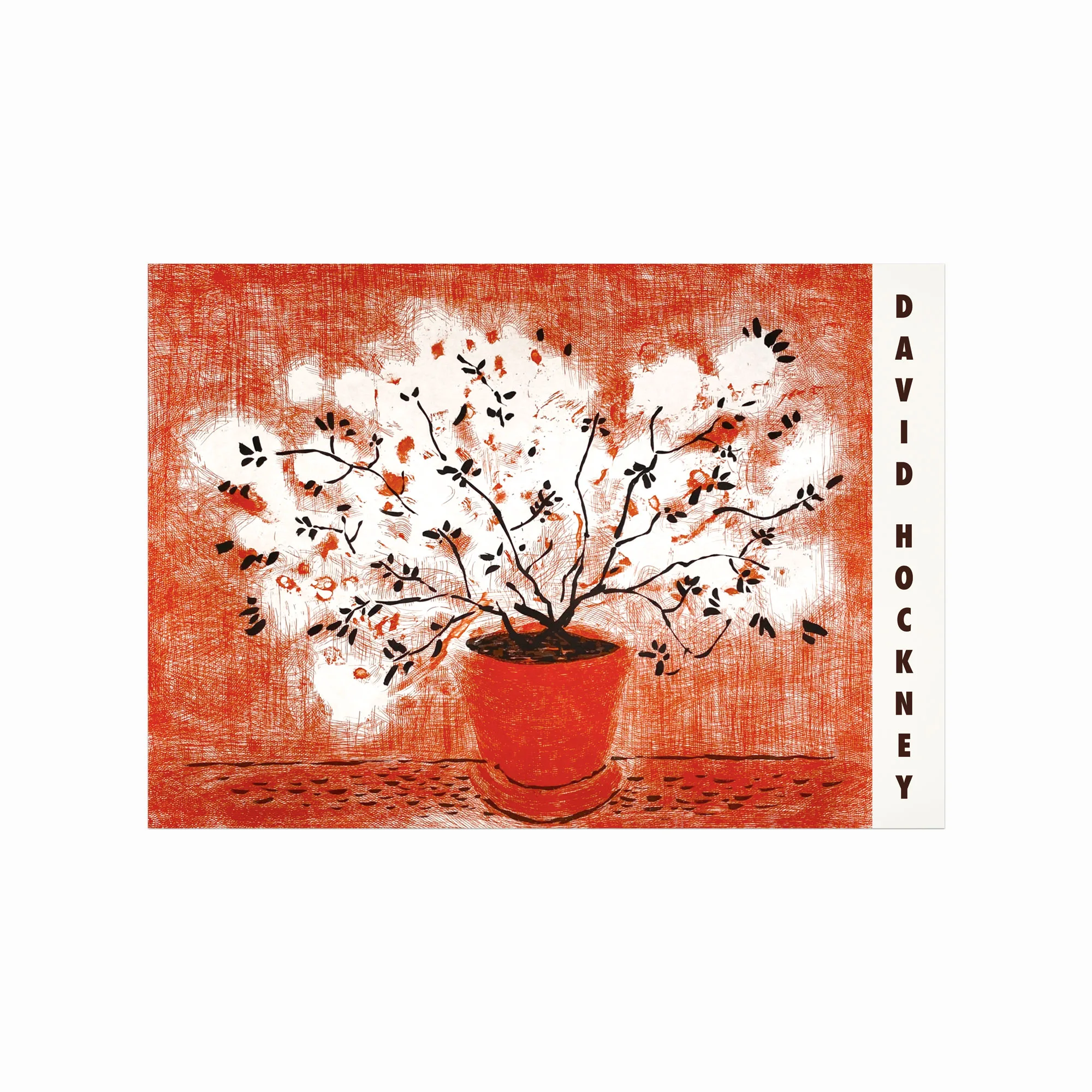 David Hockney Plakat Red Etching