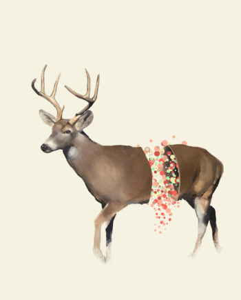 Deer Af Mads Hindhede