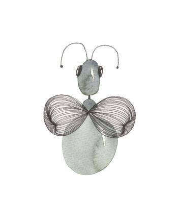 Diptera Af Lise Søgaard