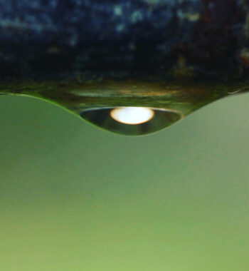 Drop Af Bytraberg