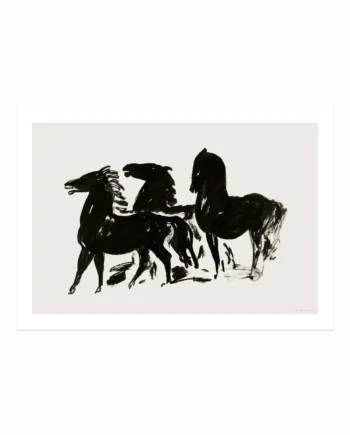 Duarte Pereira  Portuguese Horses