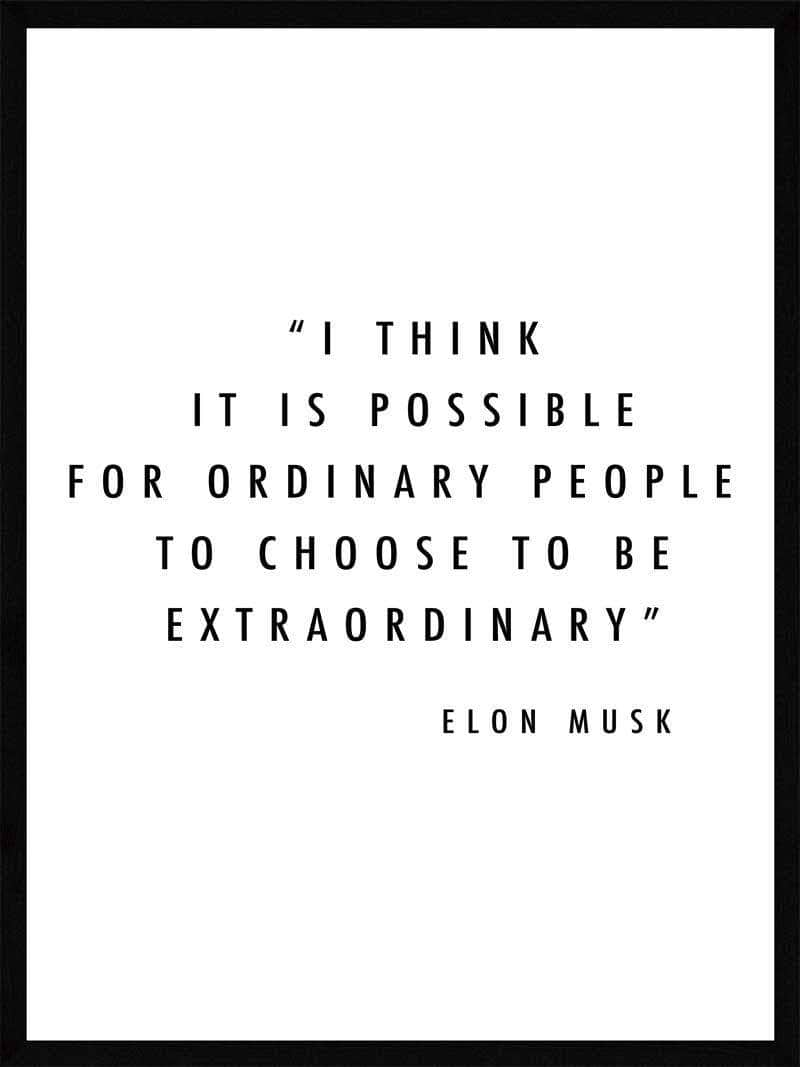 Extraordinary Elon Musk Plakat