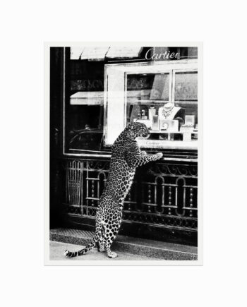 Fashion Plakat  Cartier  Cheetah At The Jewellery Store