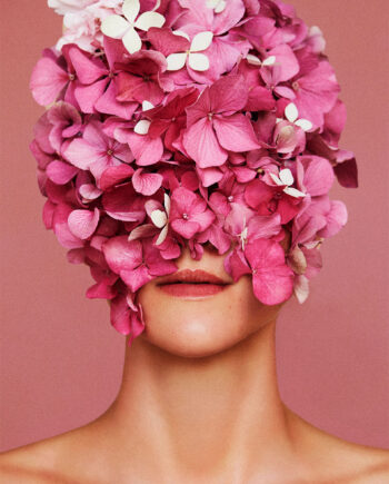 Flowerhead Pink Af Camilla Schmidt