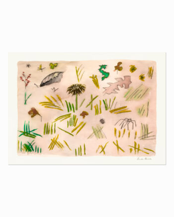 Frida Kahlo  Pequena Vida  Little Life