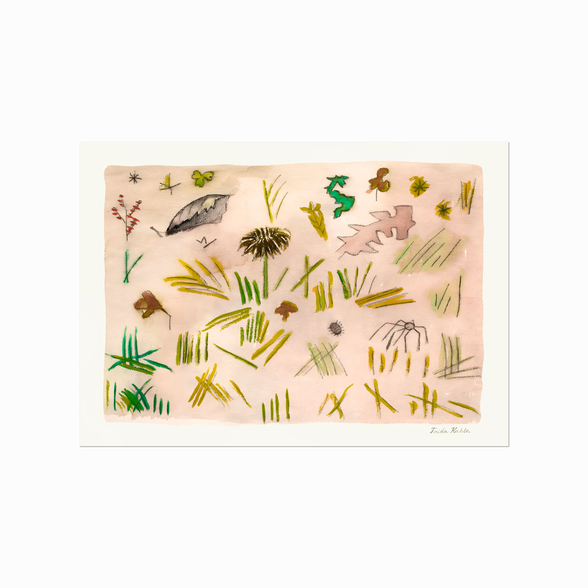 Frida Kahlo  Pequena Vida  Little Life