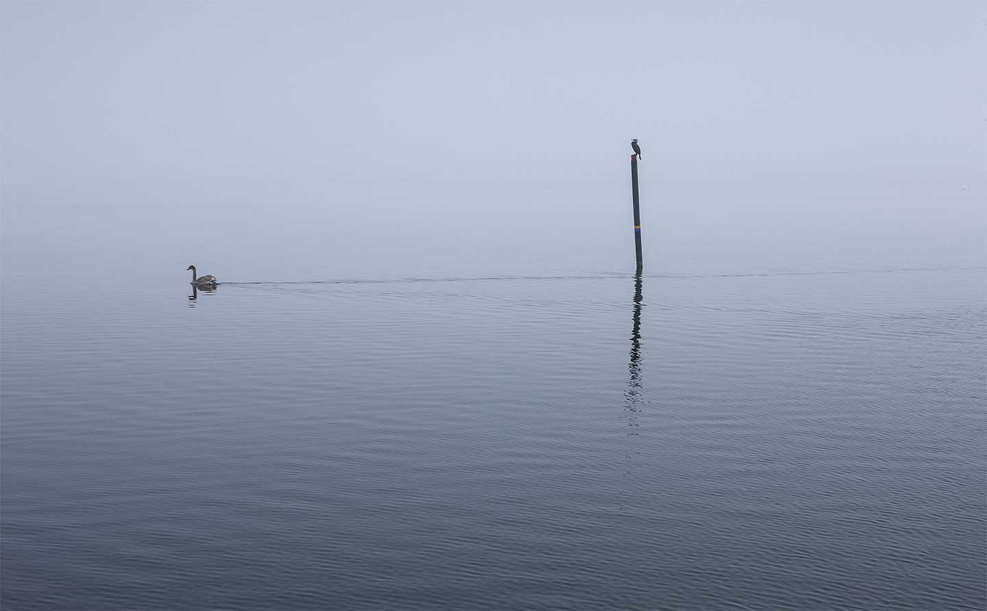 Glænø Af Jørgen Bausager