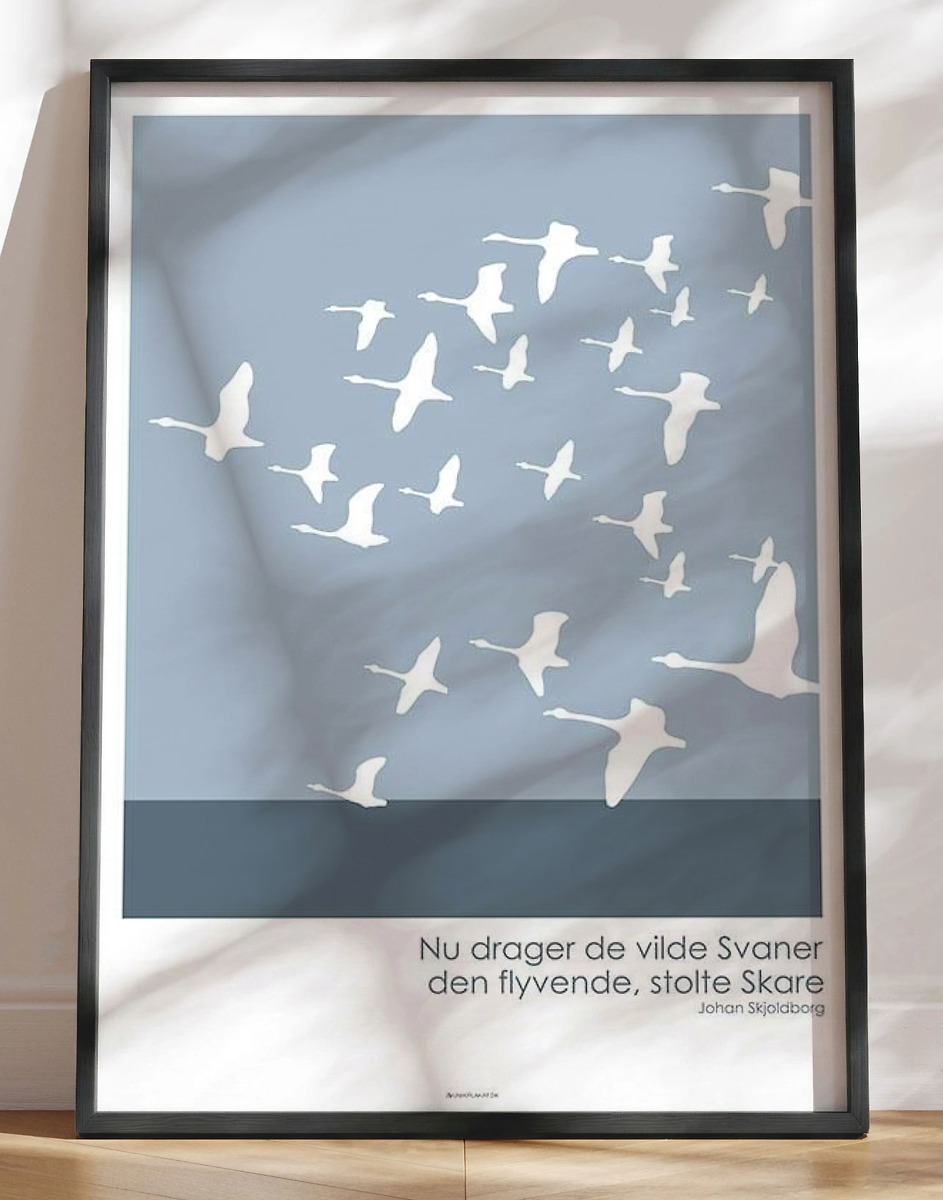Grafisk Plakat Svaneflokken