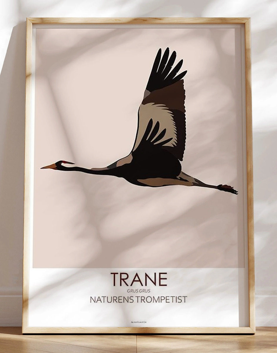 Grafisk Plakat Trane