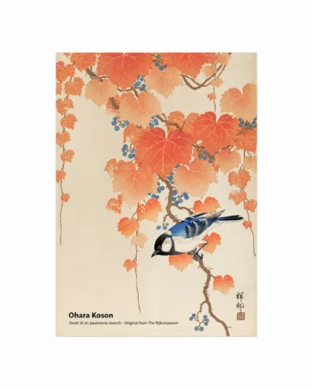 Great Tit On Paulownia Branch
