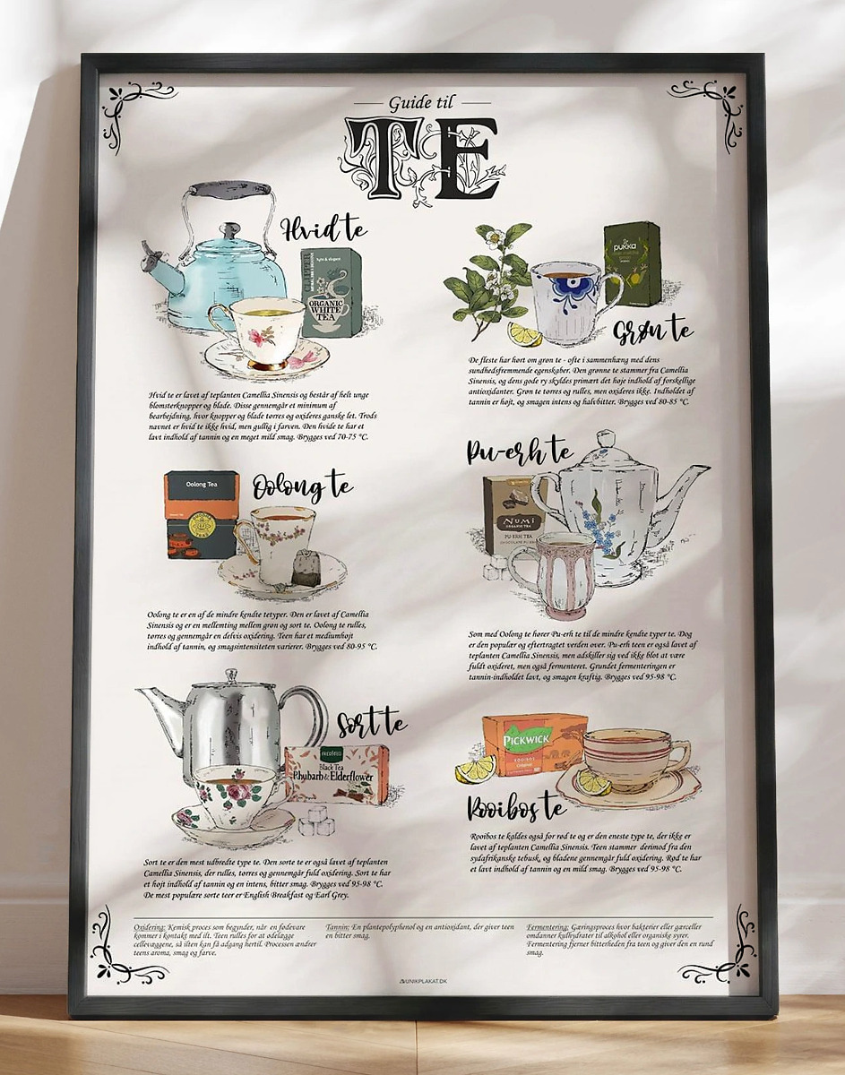 Guide Til Te Hyggelig  Håndtegnet Teplakat Med Tetyper Du Skal Kende
