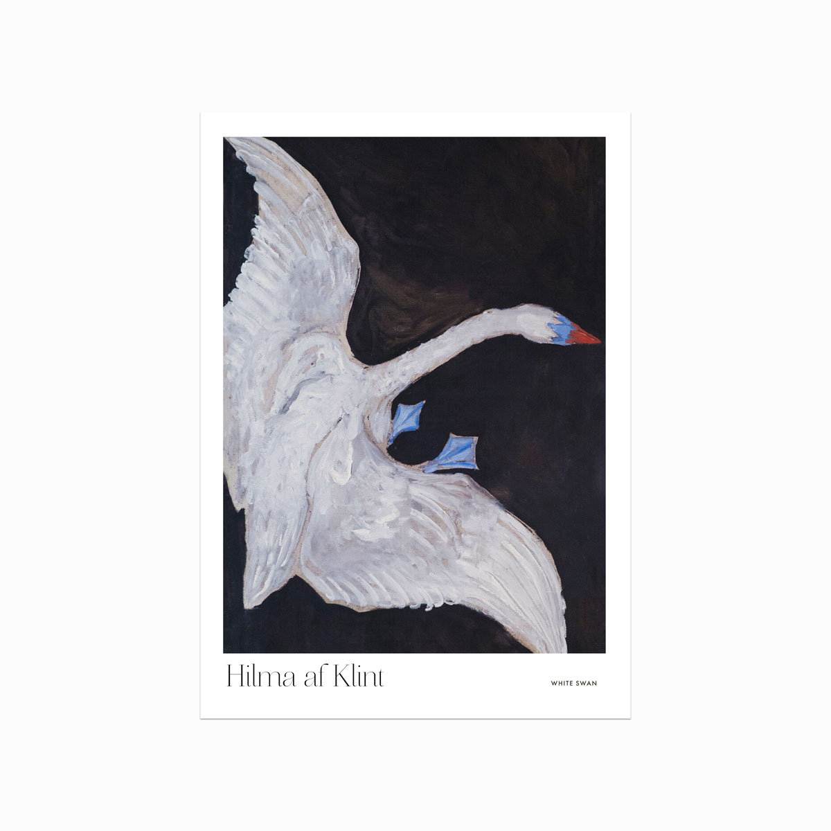 Hilma Af Klint  White Swan