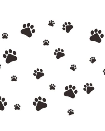 Hunde Wallsticker Med Søde Hundepoter  Få Hunde Poteaftryk På Væggen