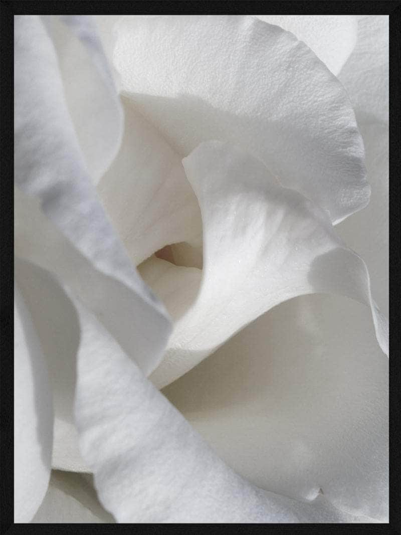 Hvide Blomster