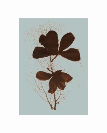 Imprint 01