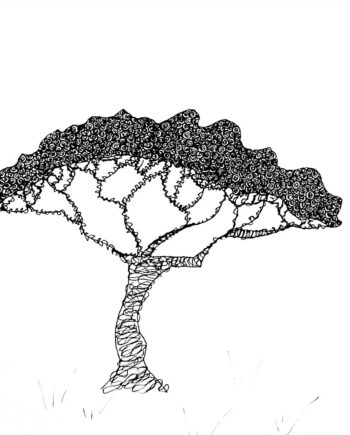 Krusedulletræ Af Cilia Sindt