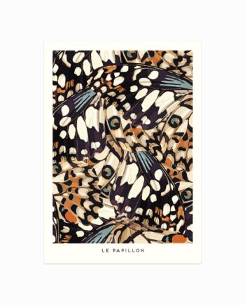 Le Papillon