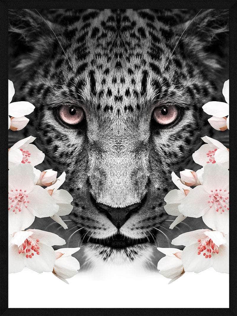 Leopard   Blomster Plakat