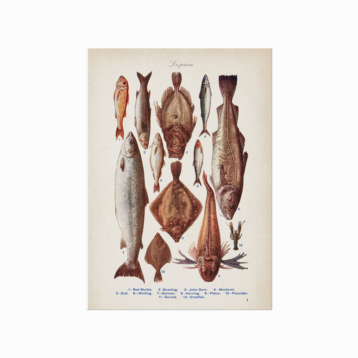 Les Poissons