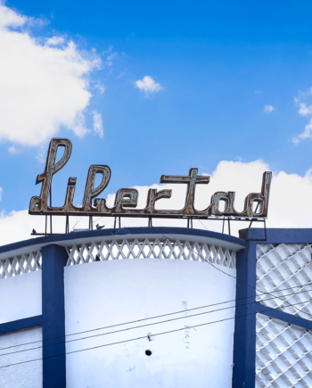 Libertad Af Julie Aucoin