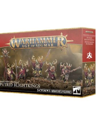 Maggotkin Of Nurgle Putrid Blightkings 99120201210