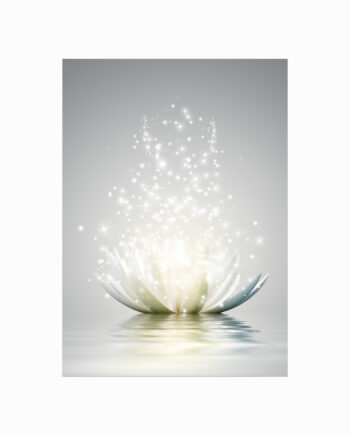 Magic Lotus