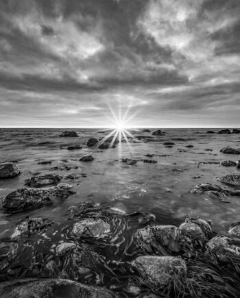 Monochrome Sunset Af Cato Johan Rød Photography