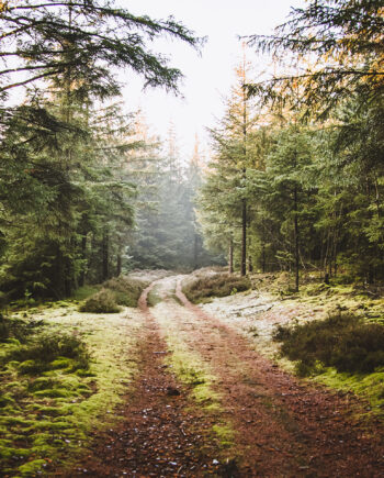 Nationalpark Thy   Af Torben Hedegaard