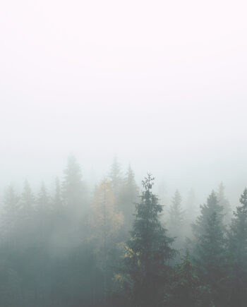 Natur Dis Af Plakatwerket