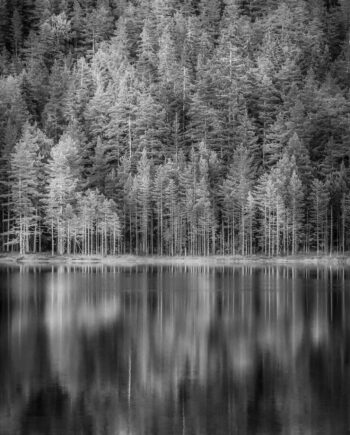 Norwegian Woods Af Kenneth Bagge