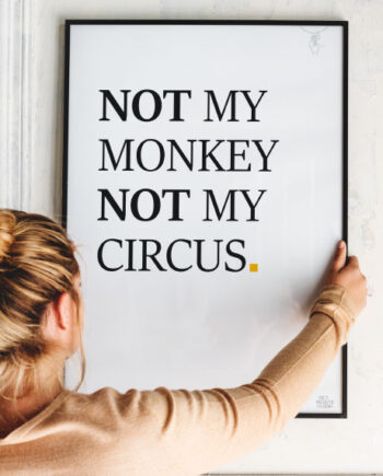 Not My Monkey Plakat 21   29    A4  Kr  199 -