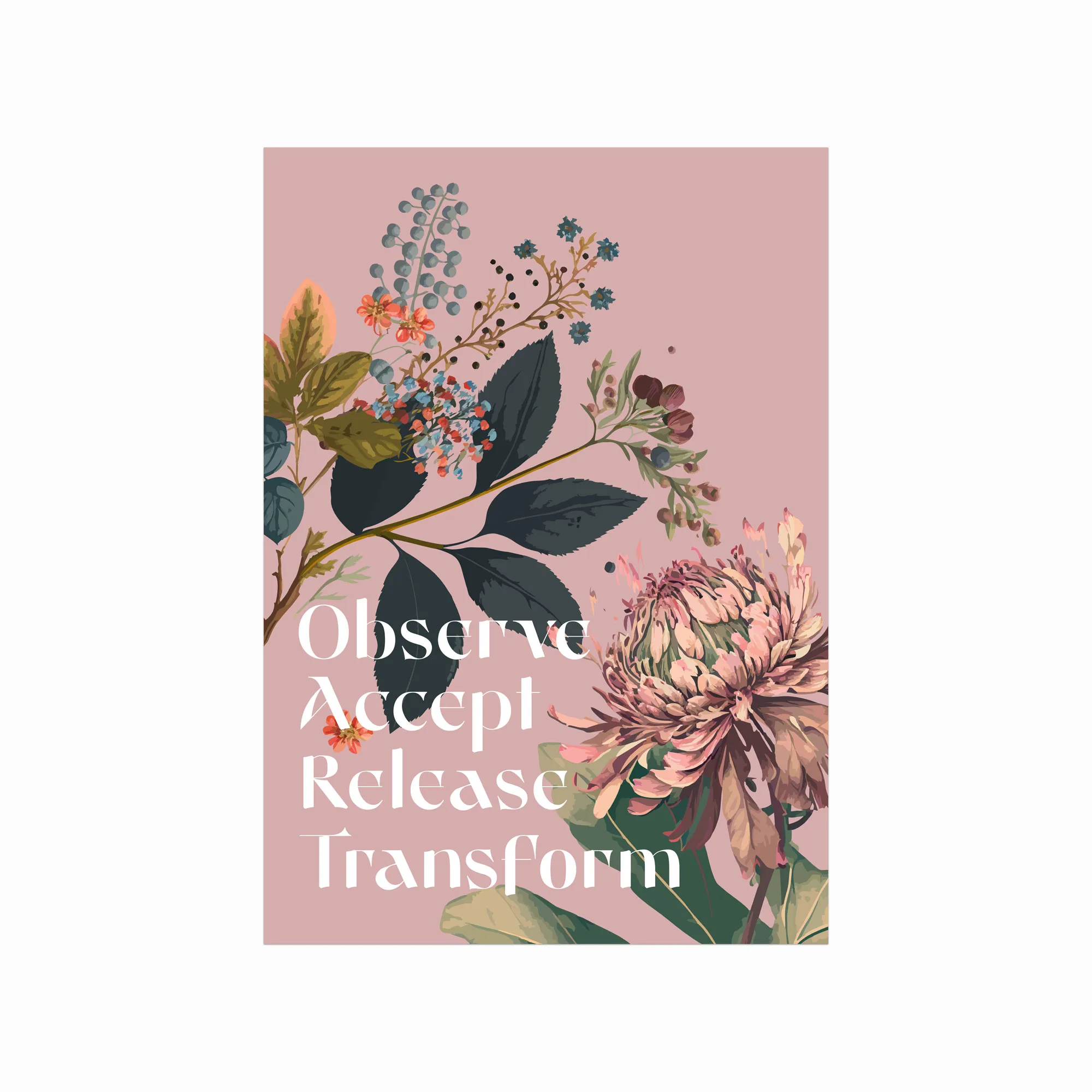 Observe  Accept  Release  Transform