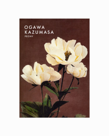 Ogawa Kazumasa  Peony