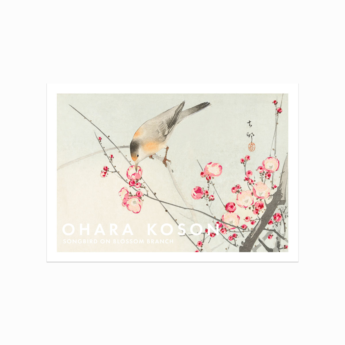 Ohara Koson Plakat  Songbird On Blossom Branch