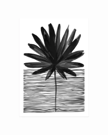 Palm No  01