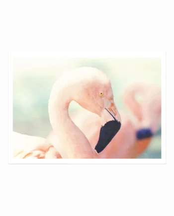Pink Flamingo