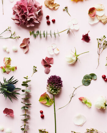 Pink Flower Af Camilla Schmidt