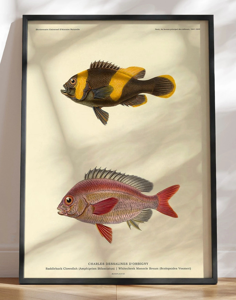 Plakat Med Fisk Charles Dessalines