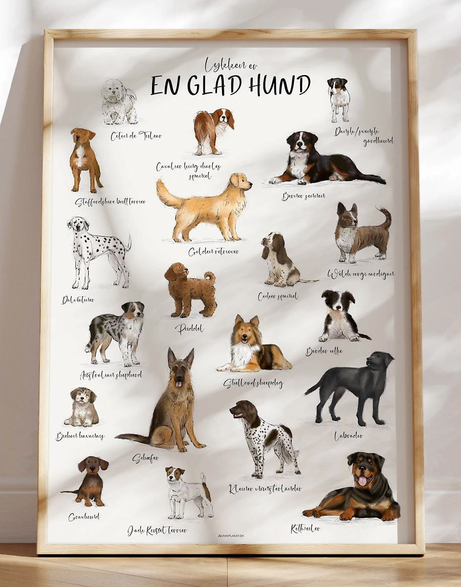 Plakat Med Hunderacer 20 Dejlige  Og Håndtegnede  Hunde