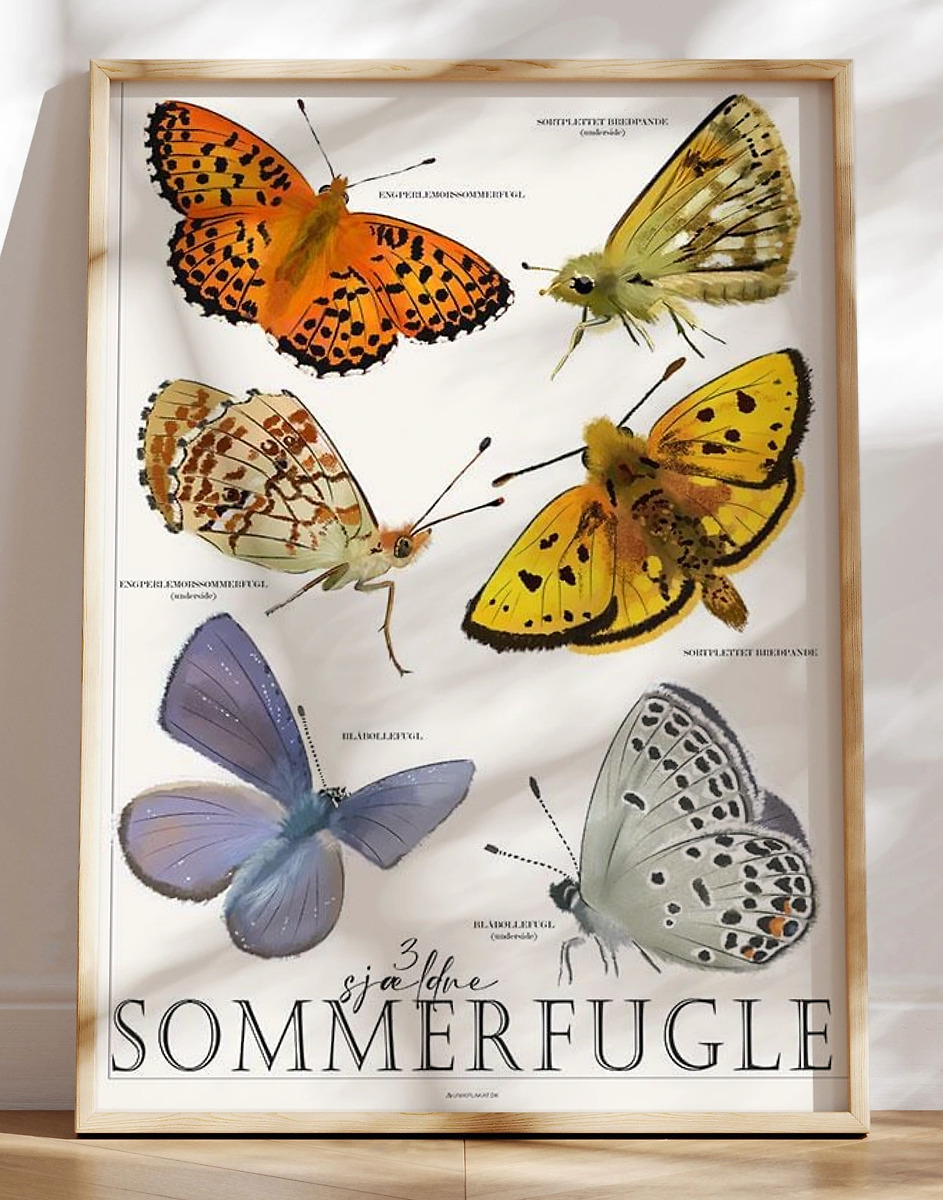 Plakat Med Sommerfugle   Sjældne Og Truede Arter
