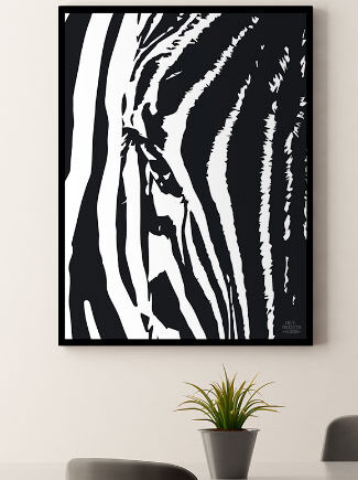 Plakat Med Zebra 21   29    A4  Kr  199 -